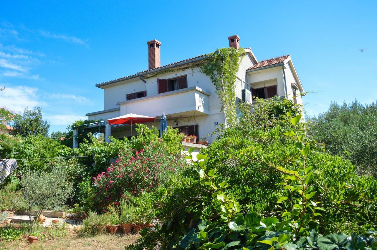 Apartment Zoja Pinezići Εξωτερικό φωτογραφία