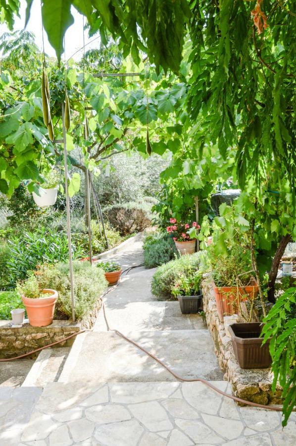 Apartment Zoja Pinezići Εξωτερικό φωτογραφία