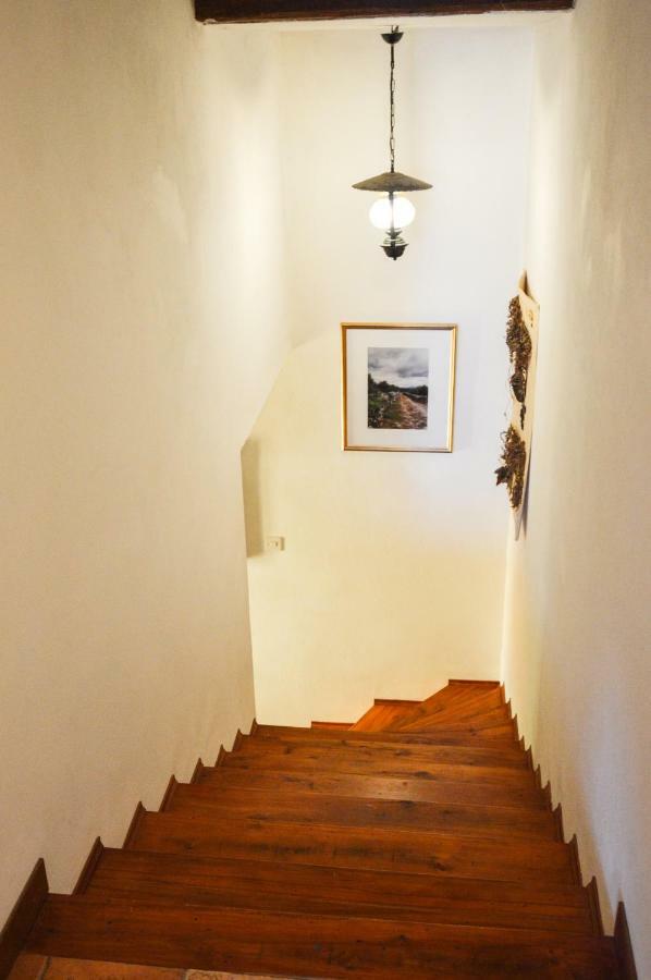 Apartment Zoja Pinezići Εξωτερικό φωτογραφία