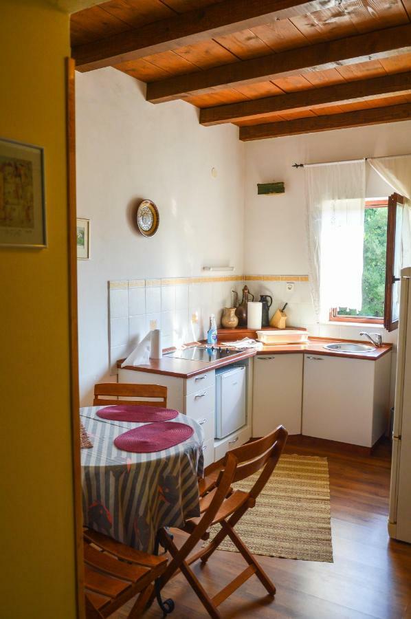Apartment Zoja Pinezići Εξωτερικό φωτογραφία