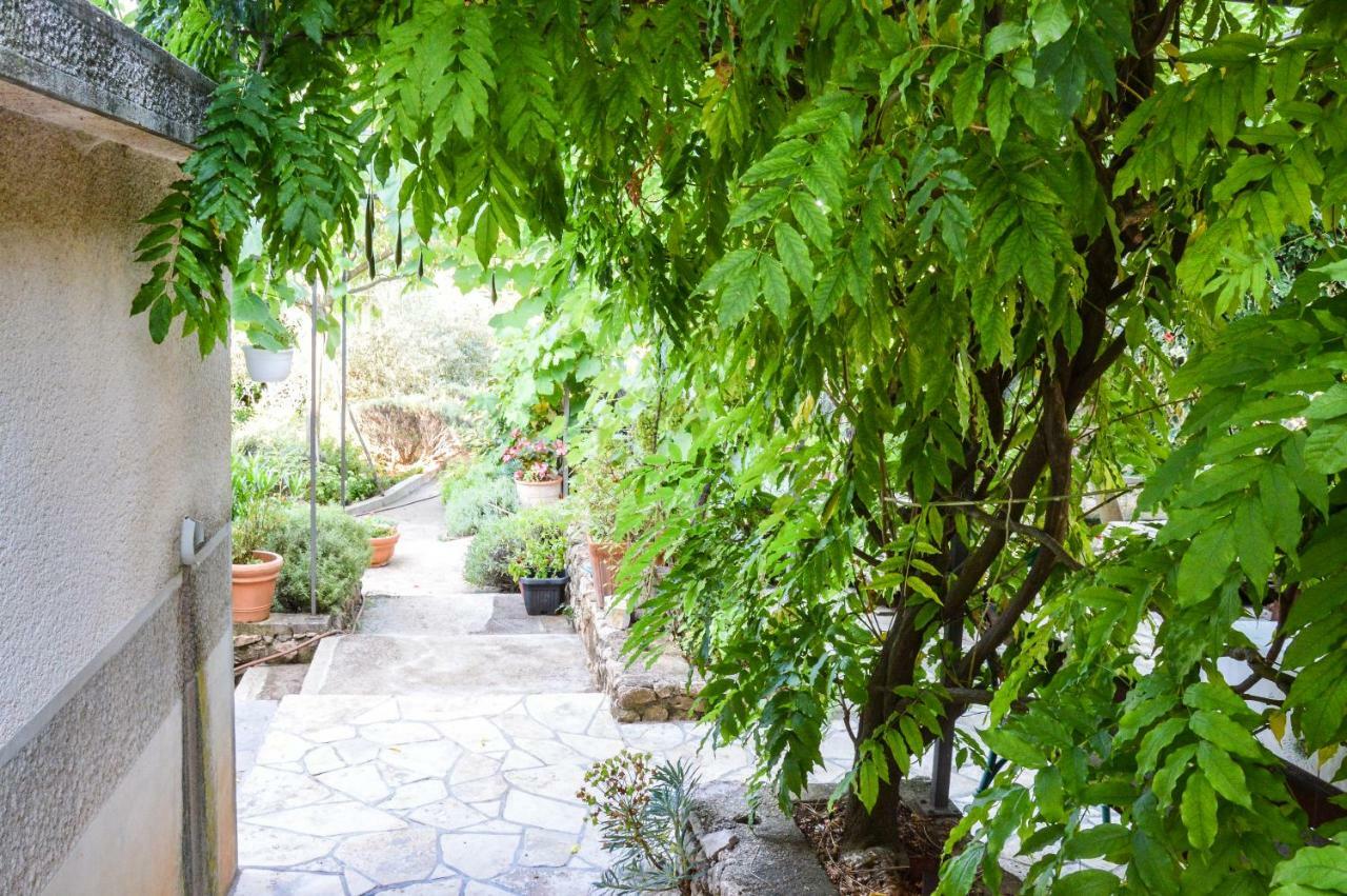 Apartment Zoja Pinezići Εξωτερικό φωτογραφία